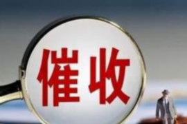 银行催收查询我的工作：揭秘催收流程与应对策略
